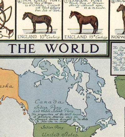 Old Horse Map, 1936 - Old World Atlas Chart with Origins of Breeds - Thoroughbred, Mustang, Shire, Polo Pony, Arabian