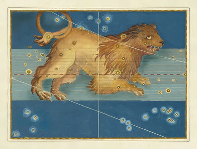 Old Star Map of Leo, 1603 by Johann Bayer - Zodiac Astrology Chart - The Lion Horoscope Sign