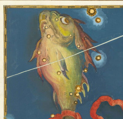 Antiguo mapa estelar de Piscis, 1603 por Johann Bayer - Carta astrológica del zodiaco - El signo del horóscopo pez