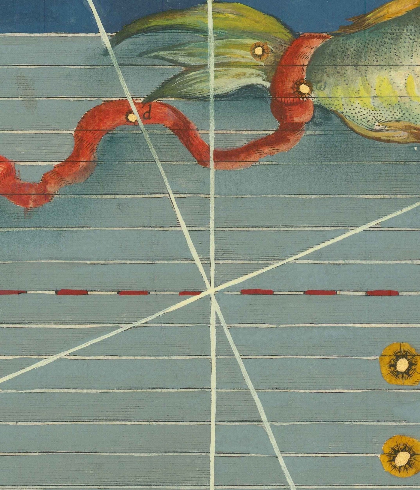 Antiguo mapa estelar de Piscis, 1603 por Johann Bayer - Carta astrológica del zodiaco - El signo del horóscopo pez