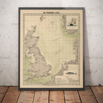 Old Mackerel Fish Map of the North Sea, 1883 by O.T. Olsen - Mackerel Fishing, Distribution, Spawning, Etc.