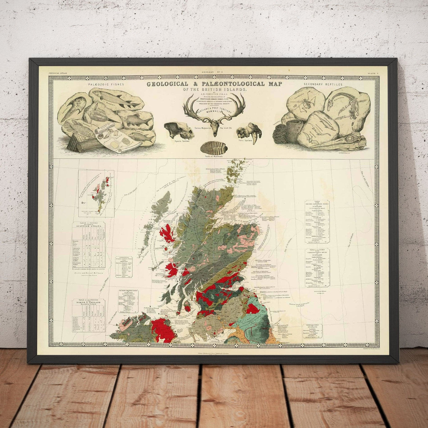 Old Geology & Palaeontology Map of Scotland, 1854, by A.K. Johnston and Edward Forbes - Rare Fossil Wall Chart