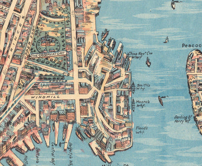 Mapa antiguo de Sydney 1902 de John Andrew - Coves Bays, Harbors, Port Jackson, Estación Central, Jardín Botánico